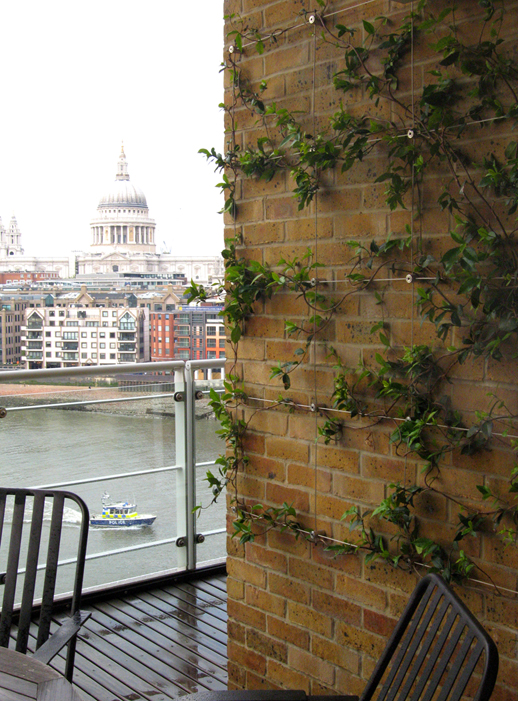 (1)Balcony%20Green%20Wall