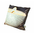 (1)cushion3