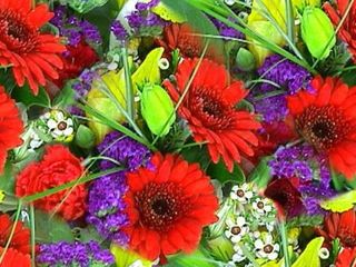 1-flower-bouquet-red-blue