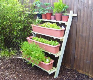 (1)1ladderallotment