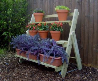 (1)1ladderallotmentfreestanding2