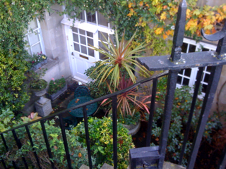 BLOOMING BASEMENT GARDENS