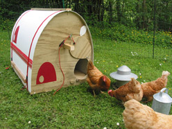 (1)1aaaaaeggpod-chicken-house