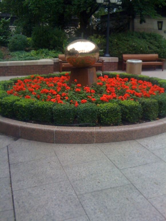 GERANIUMS FOR CLASSIC BEDDING