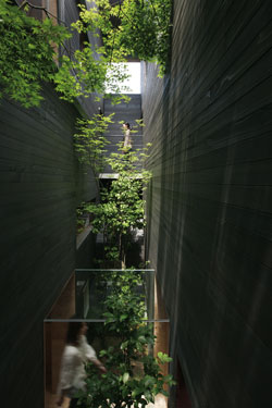 (1 private plot1