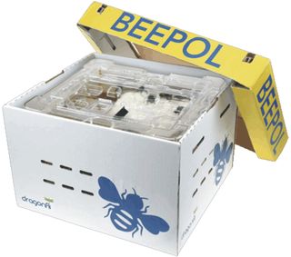 (1 beepol2