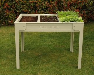 Salad leaf planter