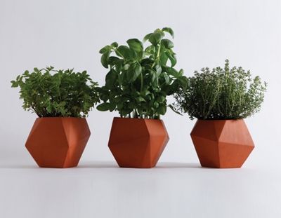 Nich Fraser herb pots