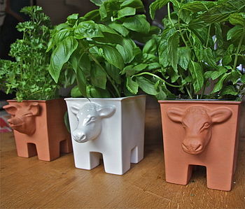 Herb planter