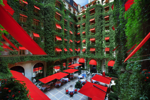 Hotel plaza Athenee paris