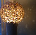 Coco_tooth_lamp_1