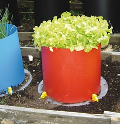 Kitchen_garden_planter_easy_grow